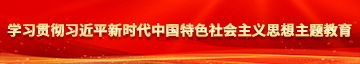 日逼逼日逼逼h学习贯彻习近平新时代中国特色社会主义思想主题教育