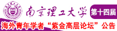 大鸡巴网站免费播放视频南京理工大学第十四届海外青年学者紫金论坛诚邀海内外英才！